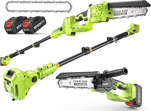 Einhell GE-LC 18/25 Li Hochentaster im Test